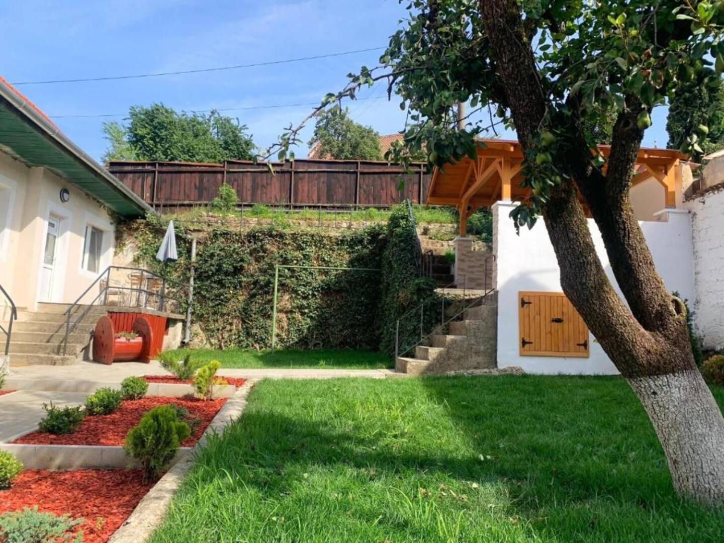 Schei Residence Braşov Exteriör bild